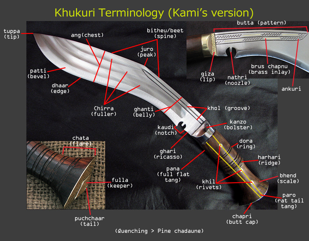 Identify the Parts of Your Knife